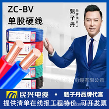 �|ݸ���d��|������ȼZC BV1.5/2.5/4/6�ι��~о���������b��늾�