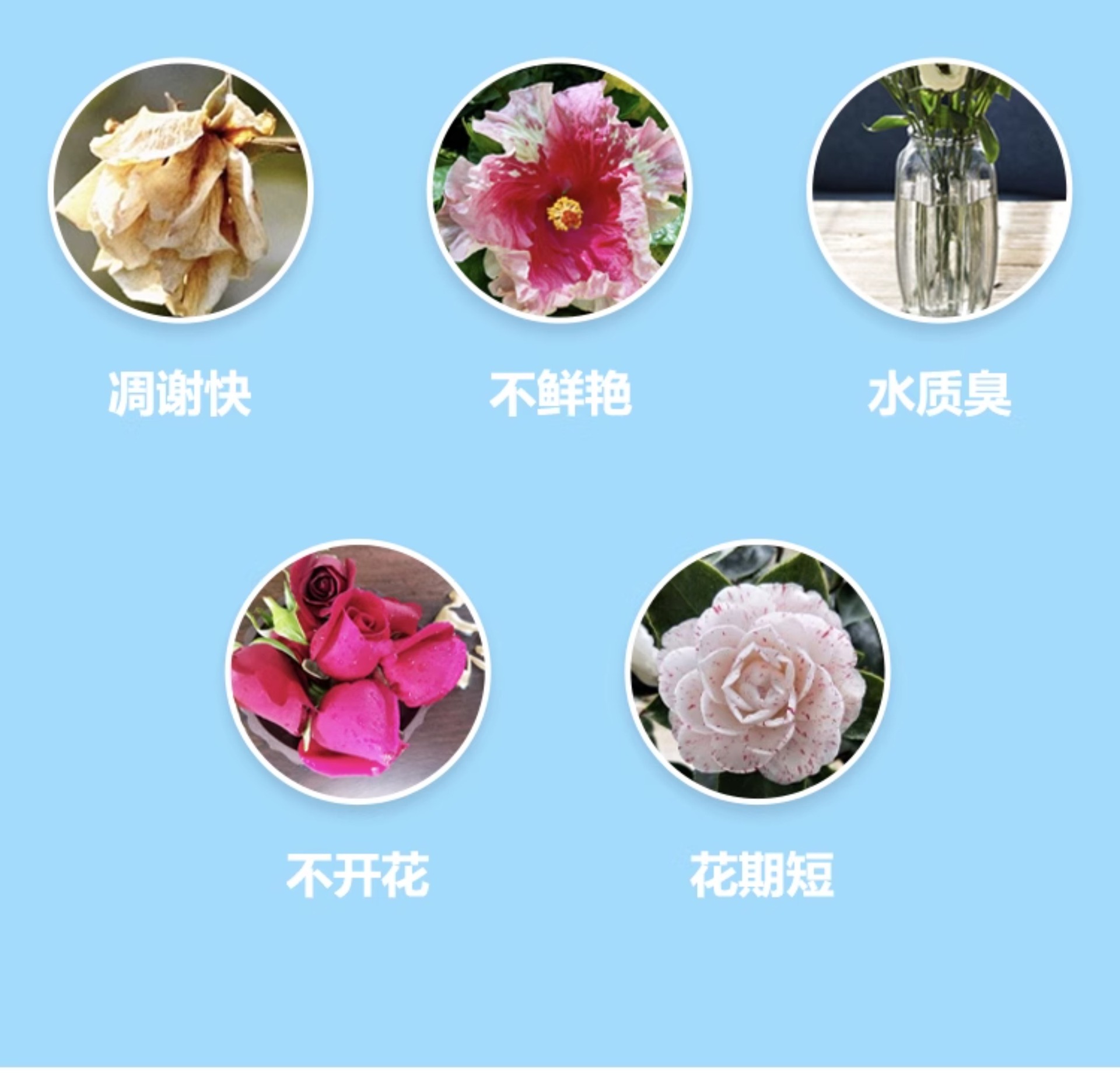 详情_006