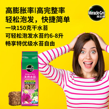 �������M��ˮ̦��̦�\�����m�I�B��������|�m����̦������������