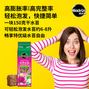 �������M��ˮ̦��̦�\�����m�I�B��������|�m����̦������������