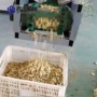 带式连续式生产烘干干燥机