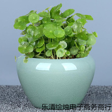 大号铜钱花盆碗莲水培植物花瓶无孔一叶莲简约陶瓷粗陶桔色长竹包