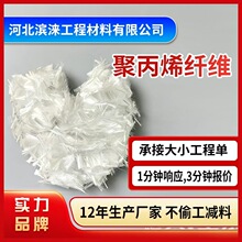 工程用聚丙烯纤维抗裂耐拉路桥隧道混凝土添加剂混凝土砂浆纤维