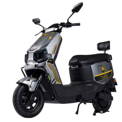 Manufacturer Direct Supply Source, Elektrikli motosikletlər