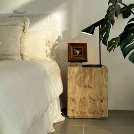 布艺沙发;实木床;书柜