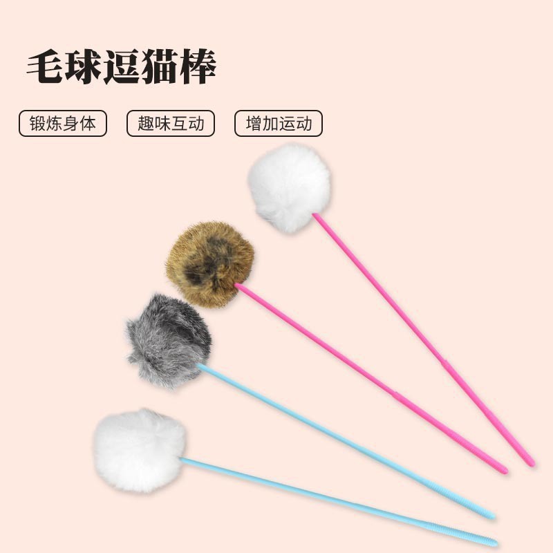헤어볼