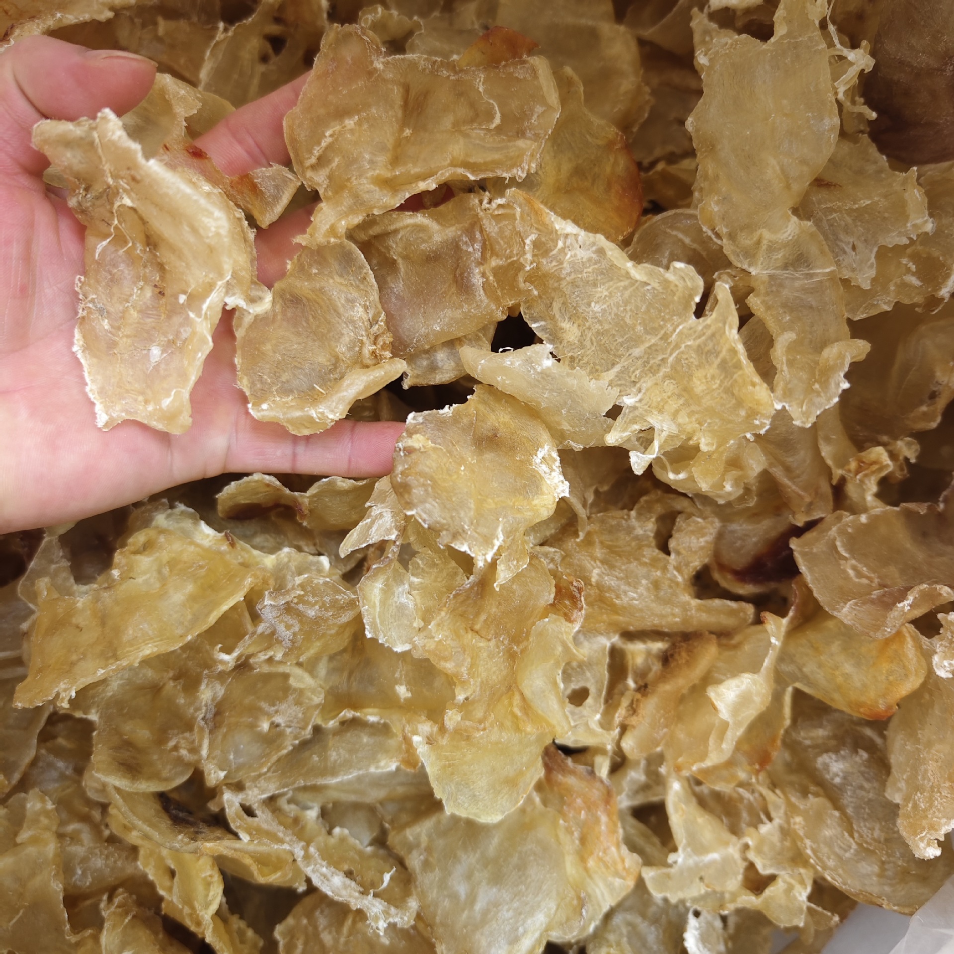 90�^�����z�����̃��z���׻���؛���zͲ�z�BI�BƷ���a�u����