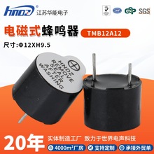 ���ܹ�ҵ��TMB12A12���ʽ��Դһ��12V������12*9.5mm���ҿɶ���