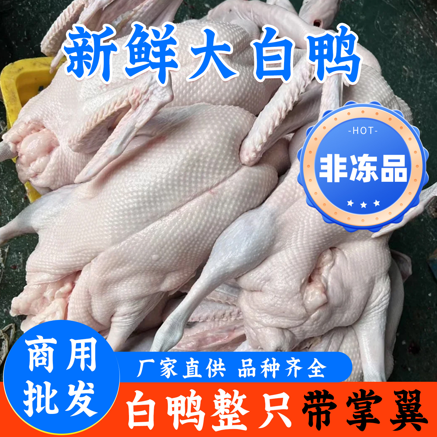 广东新鲜白条鸭老麻鸭番鸭烧鸭烤鸭专用土鸭全鸭整箱冷冻商用批发