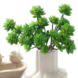 仿真植物多肉花朵6头佛手莲  假花仿真花绿植婚庆场景布置绿植