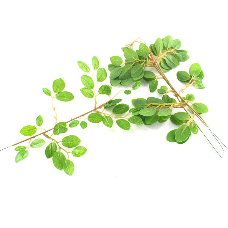 XRB-254 檵木叶单枝33叶0 (2).jpg