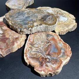 天然水晶原石 木化玉切片 硅化玉 矿物标本 树化玉 化石 茶杯垫