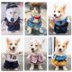 New Cat Dog Funny Pet Upright Transformation Cat Clothes Dog Funny Cat Short Cute Thin