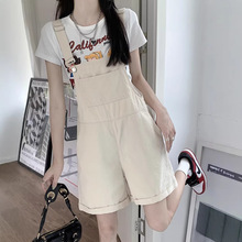 ţ�б���ѝŮ�ļ�����2026�¿��a��mm�p�g�@�����e�����ֶ�ѝ