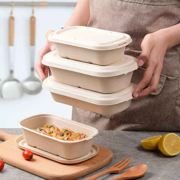 Light Salad Mochi Red Bean Coconut Crispy Bento Packaging Box Biodegradable Takeaway 1000 850 Croissant Compartments