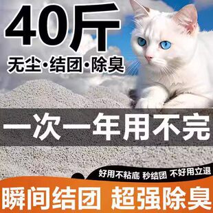 ؈ɰ�����o�mС�w�������������ٽY�Fԭζ���xζ��������Ʒ؈��
