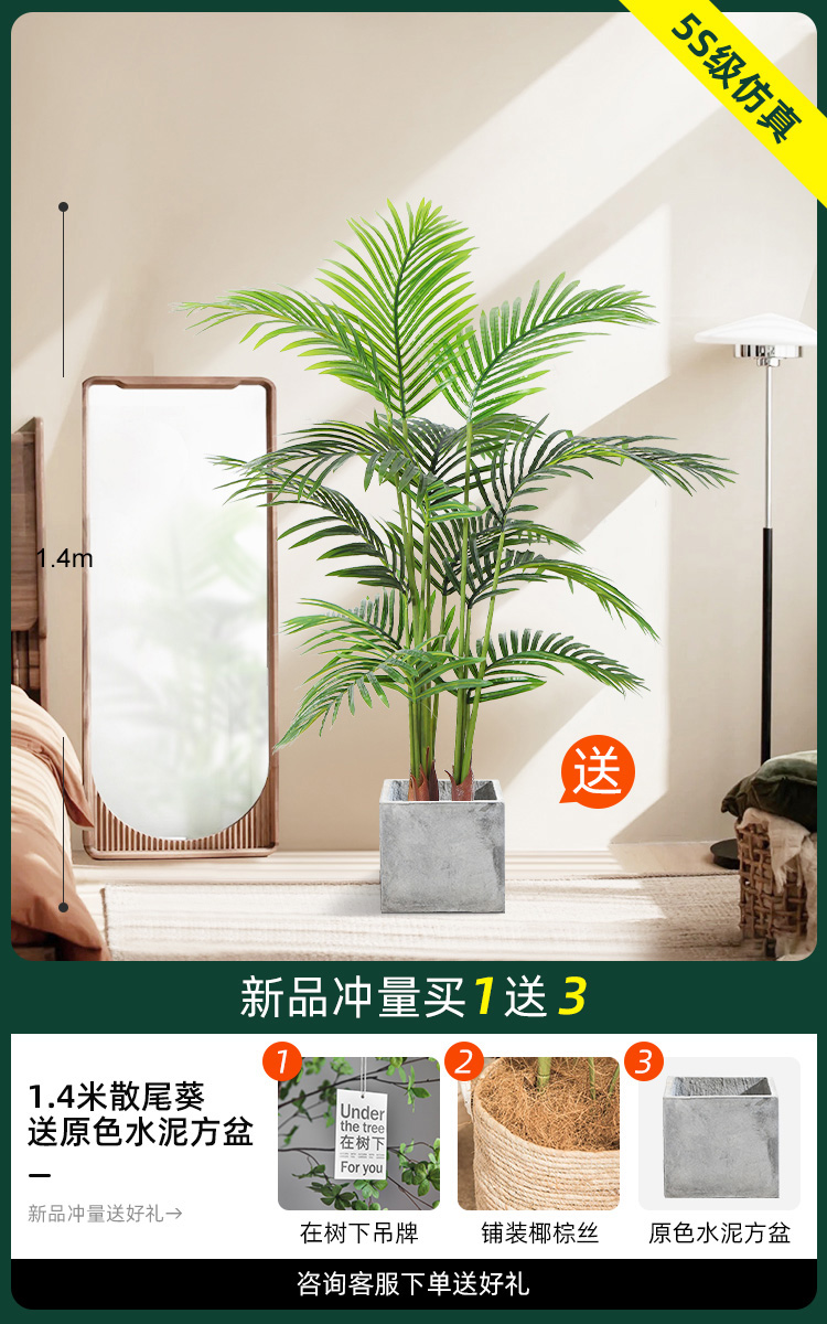 1.4 m 느슨한 말미잘 [1 차 색 시멘트 사각 분지 보내기]]