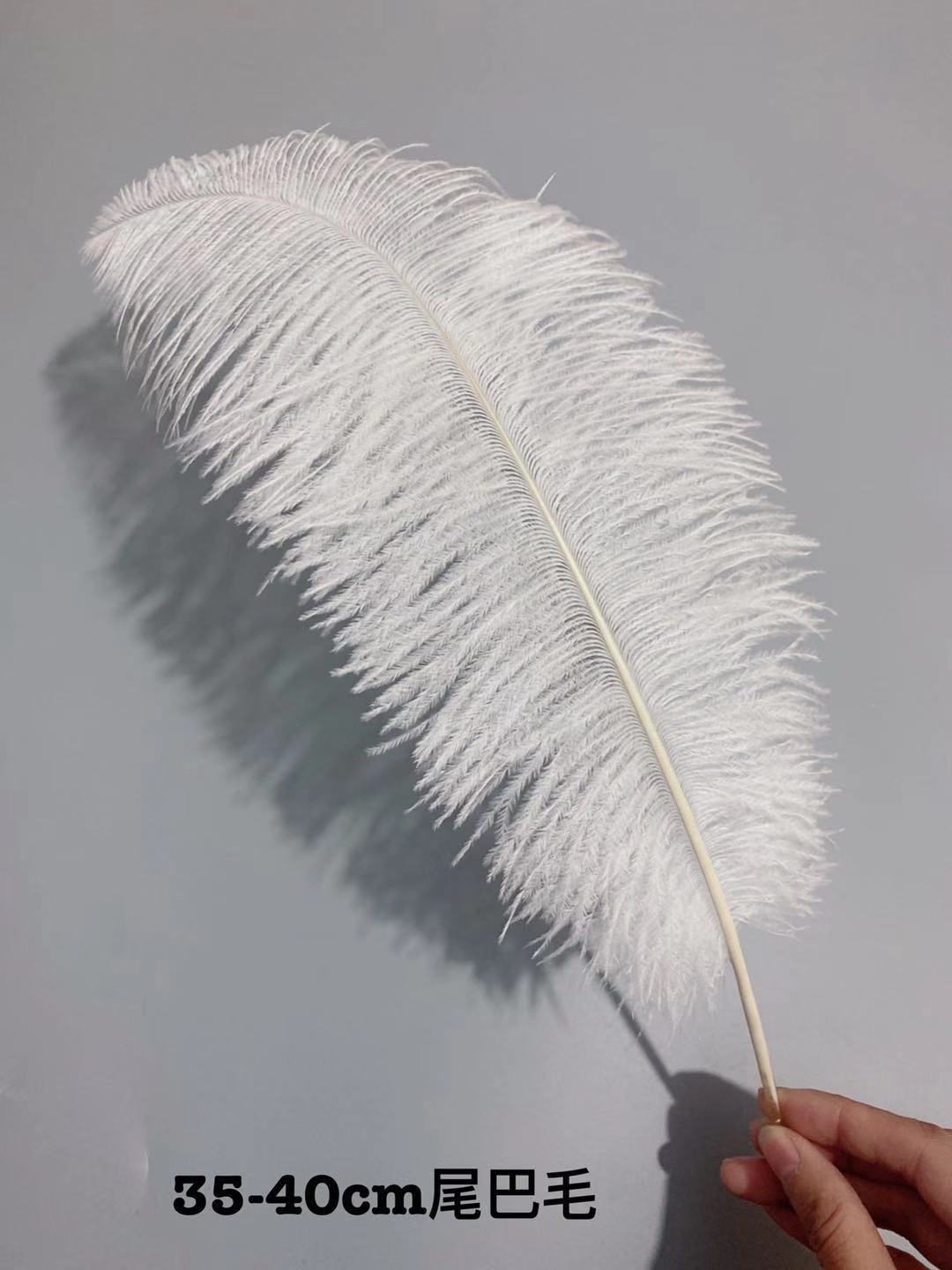 fdec1e26ad53f3cd662b3f4441746f