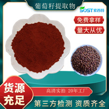 葡萄籽提取物 花青素95% 葡萄籽粉 食品添加剂工厂直发