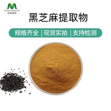 黑芝麻提取物10:1 水溶性黑芝麻粉 药食同源 源头工厂现货可寄样