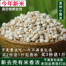 ���rȥ���F��С޲���r���Ԯa���ѳ�޲����С޲�����s�Z1000g