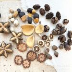 手工diy材料包半成品带钉果子天然果实橡果松果拍摄道具果壳种子