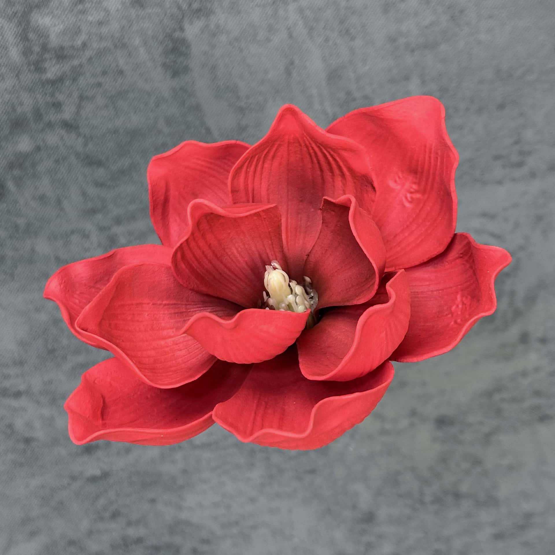 Flor de simulación transfronteriza EVA cabeza de magnolia 13cm tacto tocado kapok decoración decoración decoración flor falsa al por mayor