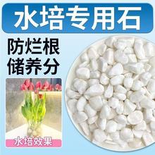 水族造景专用小白石子天然原石盆栽铺面多肉园艺花盆雨花装饰庭院