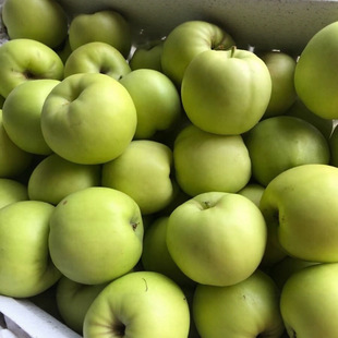 �a��ֱ�l���r�Fժ���O�������֭�����T䁏V�|��Ӌ�߼�