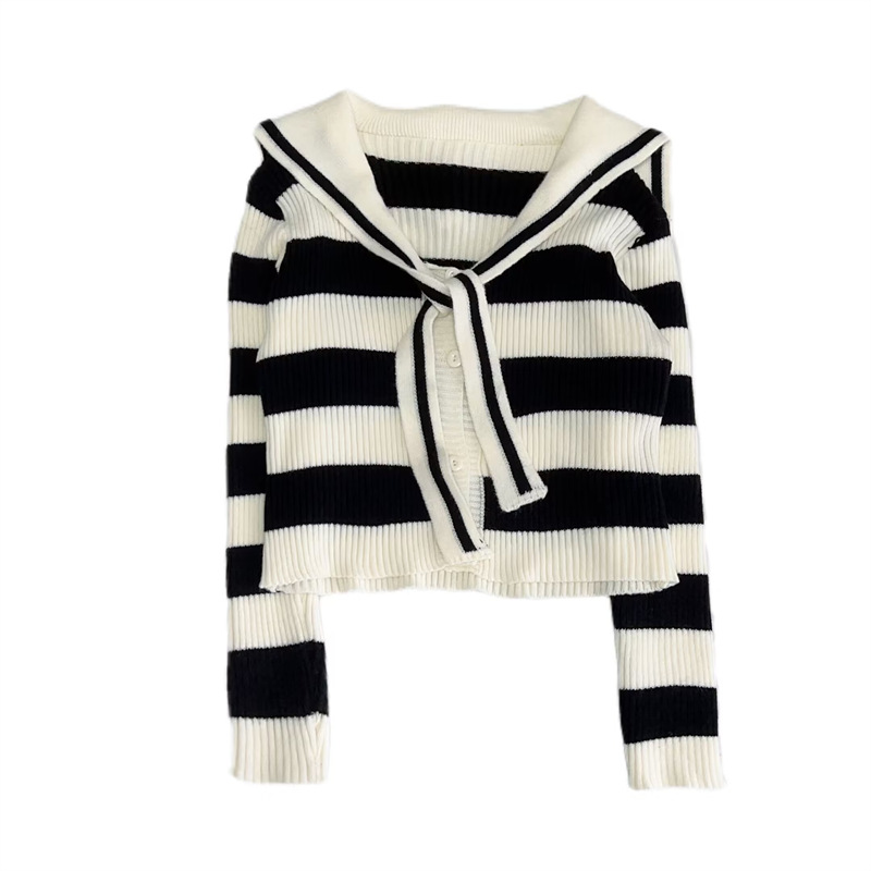 Navy autumn sweater