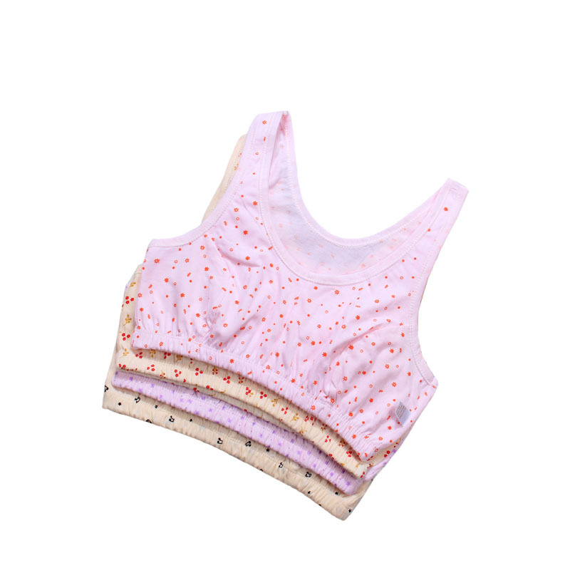 Factory Wholesale Mother's Bra Large Size Combed Cotton Vest-Style Underwear for Middle-Aged and Elderly People Without Rims Bra Full Cup