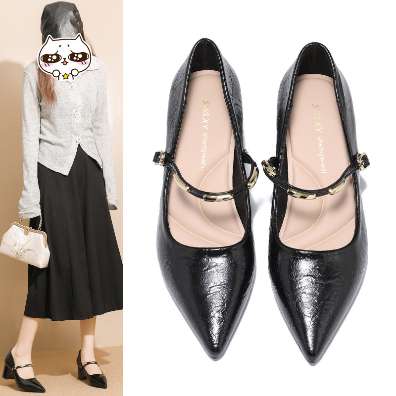 Soft Leather, Chunky Heel, Pointed Toe Mary Jane High-heeled Shoes For Women, 2026 New Versatile Design With Internal_vogvips.com