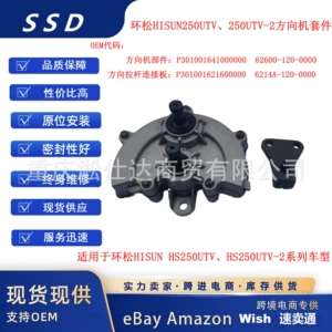 Steering Gear Components Suitable for Hisun Hs250Utv-2 P30100164100000