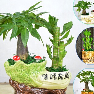 �lؔ�主�F�񹝹��߾Gֲ�����҃��k���ҿ͏d�[��ֲ�ﻨ���辰����