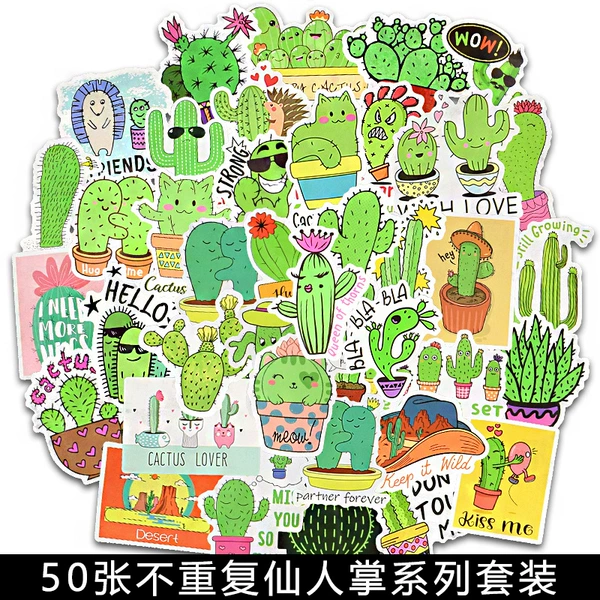 Cactus
