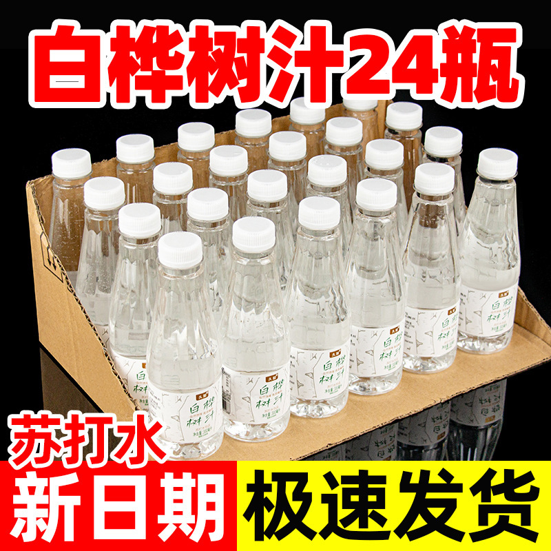 Jiurou White Birch Sap Soda Water 300ml*24 Bottles, Refreshing and Cooling, New Date, Whole Box, 0 Sugar, 0 Fat, Popular Online Drink