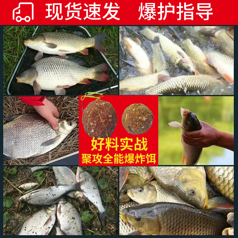 神谷は竿を投げて餌を集めて大爆発の底の巣を攻撃します。|undefined