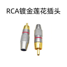 RCA僽�ɏ�����^��푹��Ų�����������AV���l���B���^ ��ĸ�⺸��