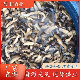 ����зζ�� �漧�� ���I�������a���g �I�B�S������Ҝ����� �F؛