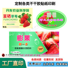 蔓園香草莓不干膠藍莓貼紙越標簽莓廣告干膠設計農場奶采摘莓莓