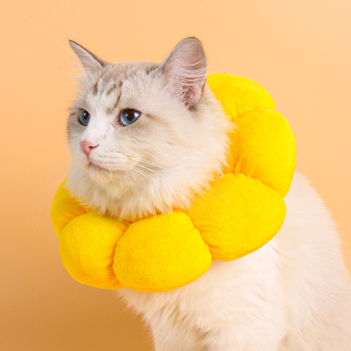 Internet celebrity Sunflower Elizabeth collar cat anti-licking soft hood cat collar anti-scratch waterproof kitten collar
