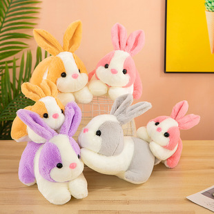 2023�¿����ſſ�� ���꼪����ë�q��߹��� �������նY��Сſ��