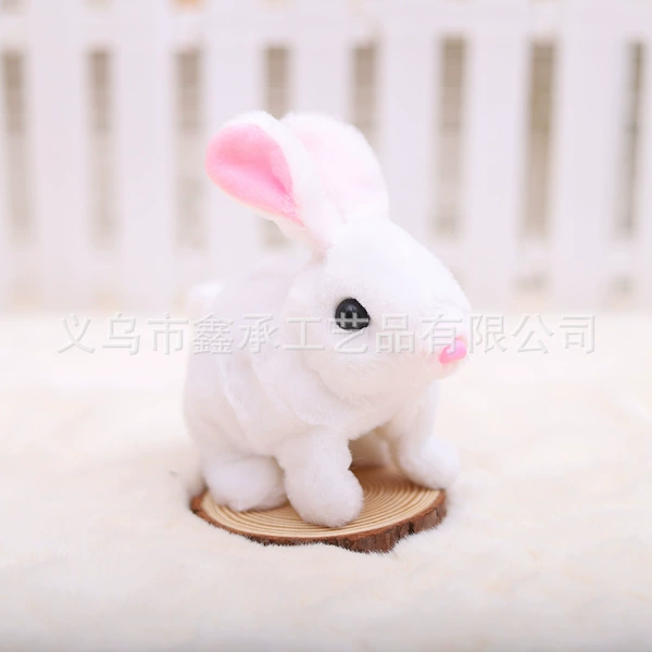 Short hairy rabbit white