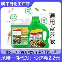 �I�BҺֲ���s�;Gֲ�I�BҺ����Һ����l���������S�~ֲ��ͨ�ð�