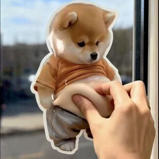 С���˴��Ƥ���󘷿ɐۄ���≺���С�ֲ񹷷��T��ײ�N�N�����l