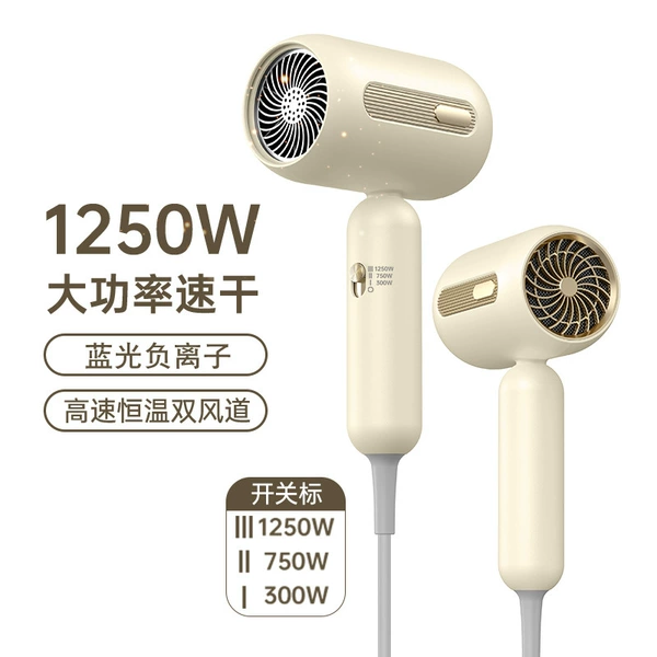 Beige [Household Edition 41] 1250W