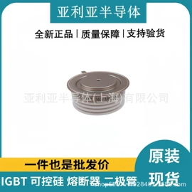 IGBT模块;集成电路;普通晶闸管