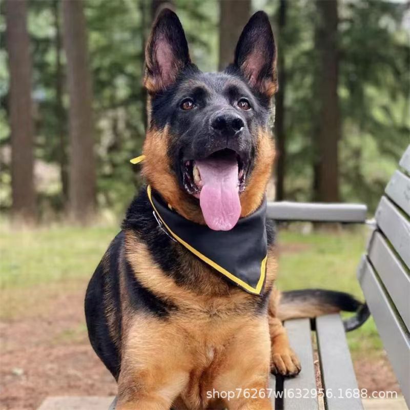Wholesale Purebred German Shepherd Guard Working Dog Puppies Live Dogs Puppies German Shepherd Large Dogs Pet Dogs Wholesale Purebred German Shepherd Guard Working Dog Puppies Live Dogs Puppies German Shepherd Large Dogs Pet Dogs
