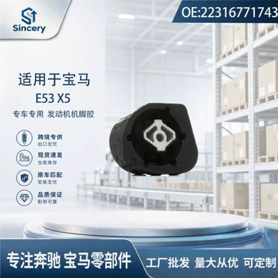 Suspension and Shock Absorber Systems E53 transmission bracket rubber