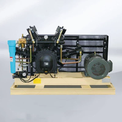 Hava kompressorları Bottles 11Kw-30Kw High Efficiency and Energy